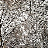 и в городе зима - Надежда Романишина - Ниже нуля :: Номинация 