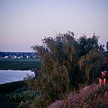 Родной мой край-Поволжье - Татьяна Шелудько - Широка страна моя родная :: В деревню, в глушь, в Саратов