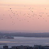 Зимний закат над Волгой - Бэлла Ващенко - Широка страна моя родная :: Край родной