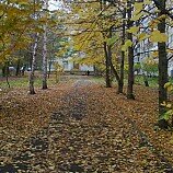  Осенняя пора, очей очарованье, Приятна мне твоя прозрачная краса...... - Юлия Вахромеева - Широка страна моя родная :: Символы Поволжья