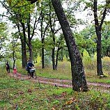 Однажды в лесу в Тинь-Зине - Марина Адаричева - Широка страна моя родная :: В деревню, в глушь, в Саратов
