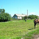 ОБЫЧНАЯ ТИХАЯ ЖИЗНЬ - Юлия Гордеева - Широка страна моя родная :: В деревню, в глушь, в Саратов
