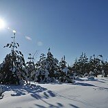 Мороз и солнце - Михаил Семенов - Ниже нуля :: Номинация 