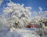 Зимовка - Дмитрий Чайковский