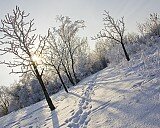 Тропа - Дмитрий Чайковский