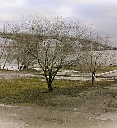 Пейзаж с мостом и деревом - Егор Зырянов - Широка страна моя родная :: Символы Поволжья